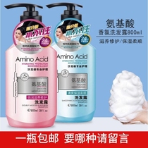 Amino acid bottle shampoo 800ml nourishing and supple refreshing oil control anti-itching shampoo lasting fragrance