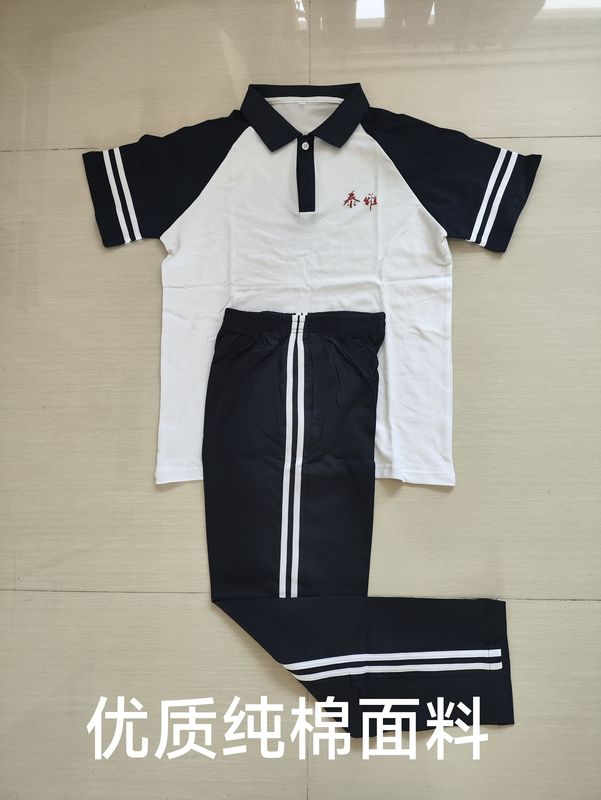 Huizhou Huiyang District Taiya Experiment School High Quality Cotton School Uniform Summer Clothes Winter Clothes
