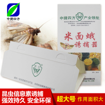 2 Lure brand rice noodle moth trap moth sticky trap moth small flying insect rice worm moth bat moth moth