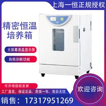 Shanghai Yiheng BPH-9042 precision electric constant temperature incubator Laboratory microbial cell culture box