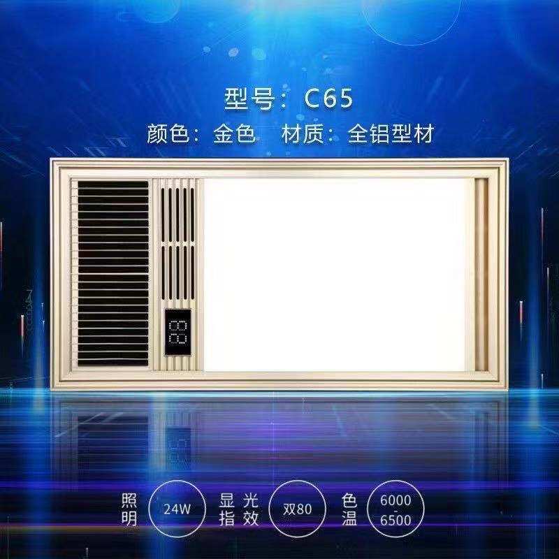 Integrated Ceiling Makeup Room Bath Bully Light Plate Mask Replacement Flush LED energy-saving lighting 30x60