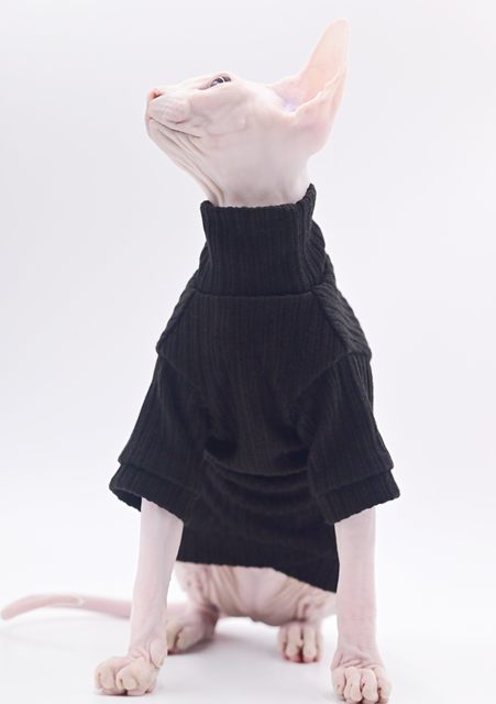 High Collar Chenille Super Soft Hairless Cat Clothes Sphynx Cat Eastern Short Devon Cornish