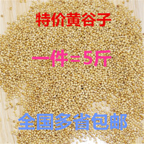 Tiger Skin Parrot Feed Bird Food Valley Peony millet Wenbird with shell Red Valley Son Grain 2-5kg popularity