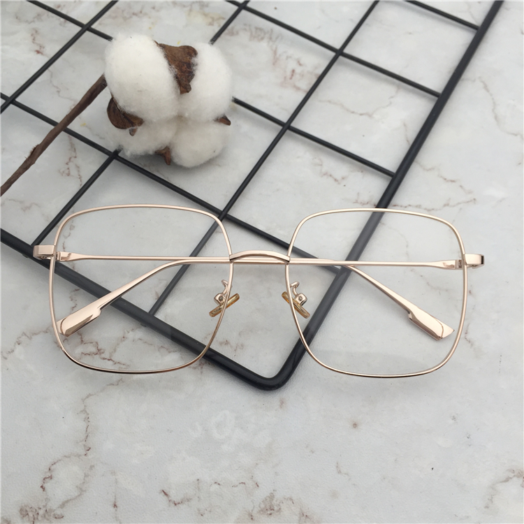 Montures de lunettes en Alliage de nickel - Ref 3141235 Image 12