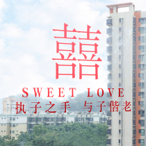 Glass Festive stickers Wedding room Wedding Window Sticker wedding door post Personality Wedding window Flower electrostatic sticker window