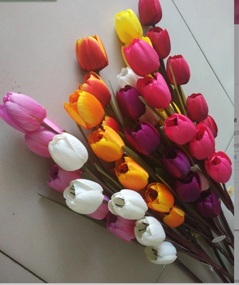 5 hoa tulip giả hoa 绢 hoa phòng khách sàn trang trí hoa trang trí hoa nhựa khô hoa cao - Hoa nhân tạo / Cây / Trái cây