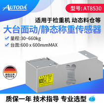 ORUDA AT8530 high precision large table dynamic static load cell platform scale checkweigher silo