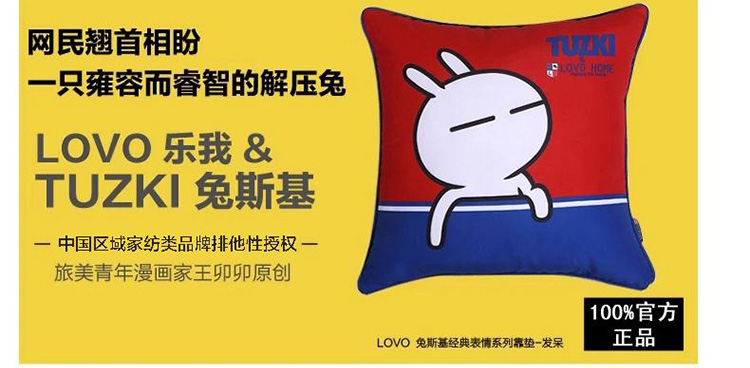 经典表情抱枕（敏感词已改）_01.jpg