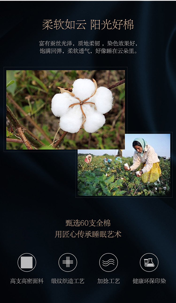 维拉海伦娜菲力蒙3款拼接天猫1_04.jpg