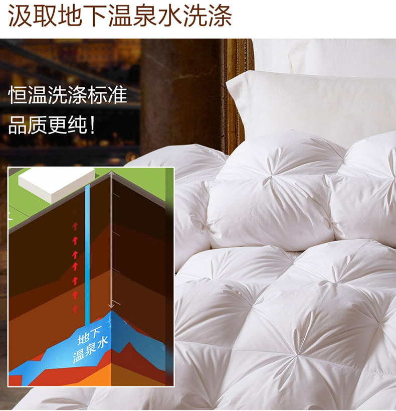 LOVO-匈牙利进口臻品鹅绒被第3代_08.jpg