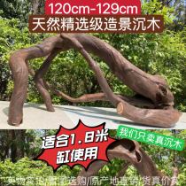 120cm-129cm large boutique sinking wood South America Multi-branch scenery branches Tree pile Turtle sundae Purple Grapefruit Pendulum