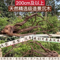 200cm and above large arched bridge South America Multi-branch View branches Tree pile Turtle Purple Grapefruit Wood Decorative Pendulum