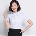 丽尚职业女装的LOGO