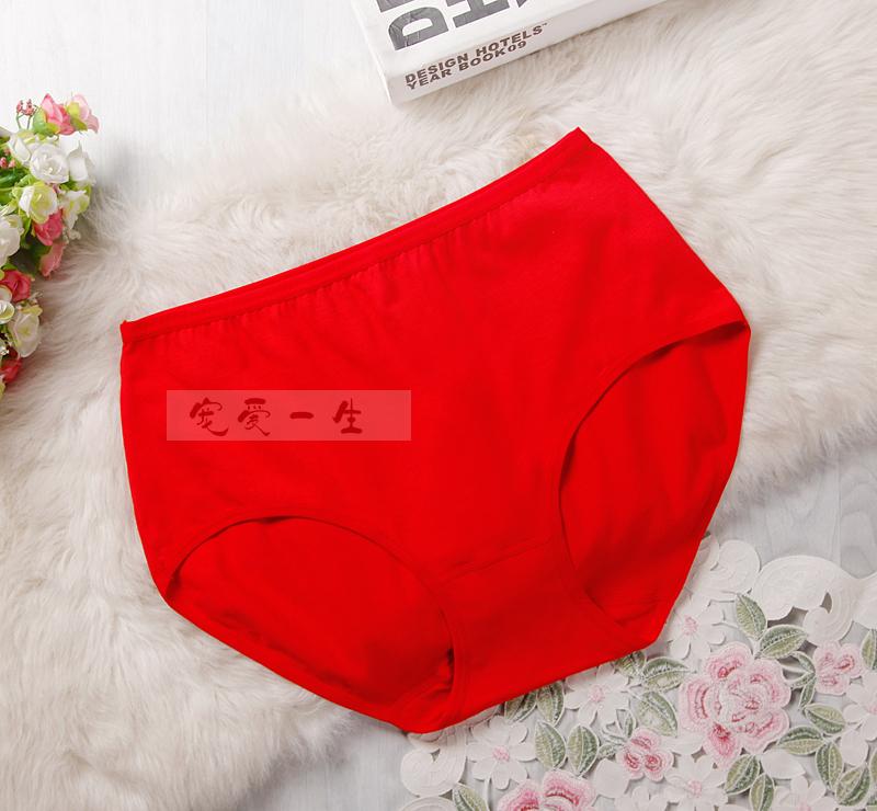 Quần cotton bằng sợi than củi chất béo cao mm cộng với phân bón XL đồ lót rộng 200 kg đồ lót học sinh