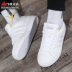 Giày thể thao nữ Adidas Neo mùa hè 2020 giày thể thao Donald Duck mùa hè giày thể thao EE8172 FY0249 0250 - Dép / giày thường Dép / giày thường