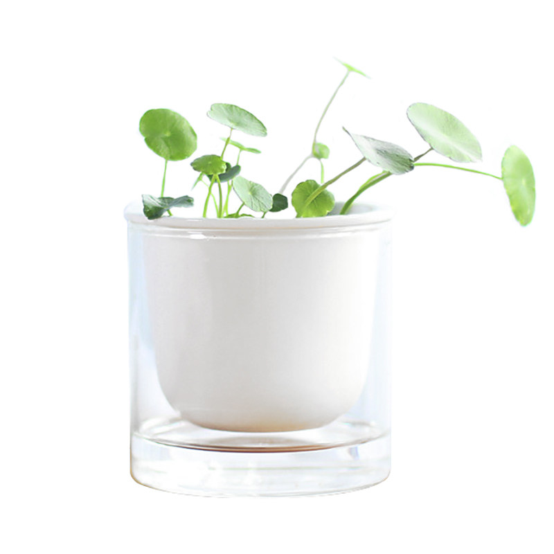 Copper Money Grass Multimeat Plant Hydroponic Green Plant Flower Pot small double layer Desktop ceramic glass transparent Nordic minimalist white-Taobao