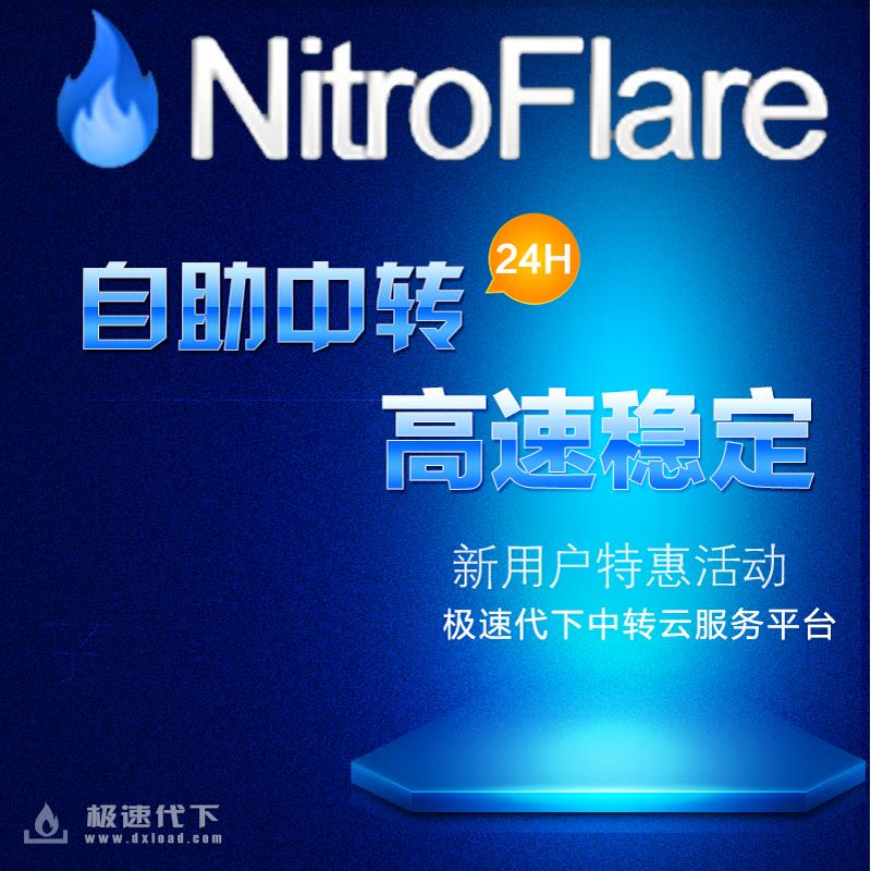 Nitroflare Filespace Rapidgator Upstore 100g Download Service