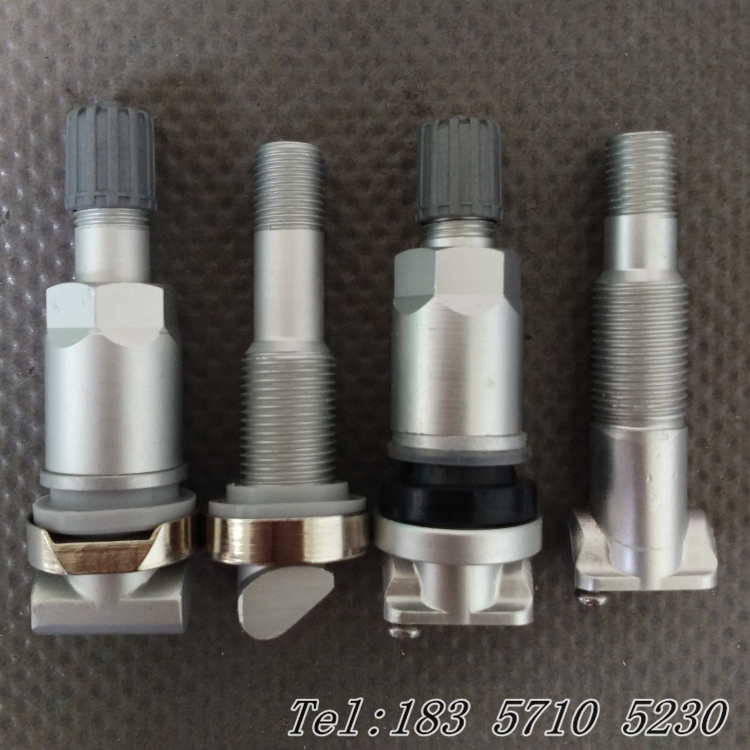 Suitable for Land Rover Range Rover Evoque discoverer 4 Discovery Shenxing tire pressure monitoring sensor valve valve valve