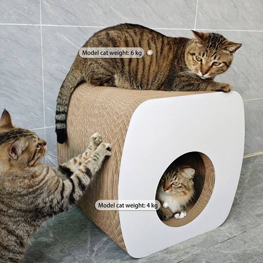 Icle stool cat scratching board chair claw grinding board beer cat scratching artifact BB reinforced durable pet sharing