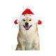 Dog and Cat Christmas Decoration Hat, Small and Medium-Sized Dog Headgear, Cartoon Cute Costume, Plush Christmas Tree Snowman Hat