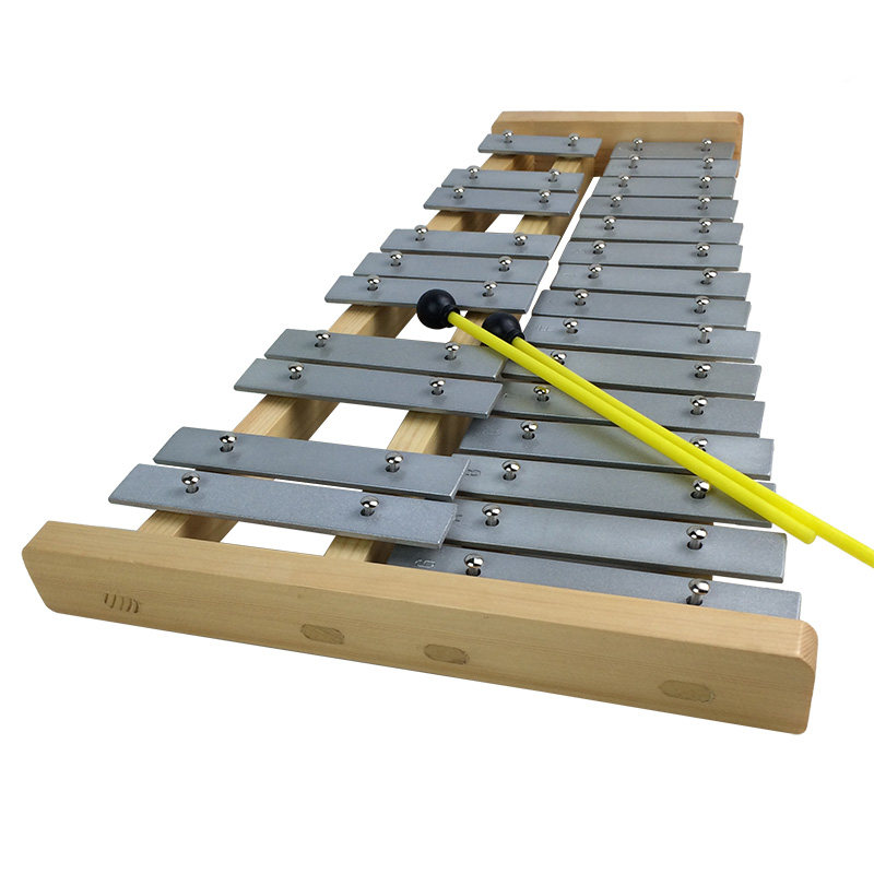 25 - sound bang - on organ - bang - organ - playing children's early teaching instrument, aluminum - board student instrument