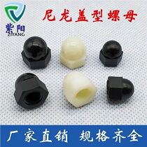 Nylon cap nut plastic hexagon nut plastic screw cap cover ugly decorative round head nut cap