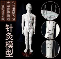 Bones 20 people imitate real joints Human skeleton model art children 28 home HD needle burning teaching children