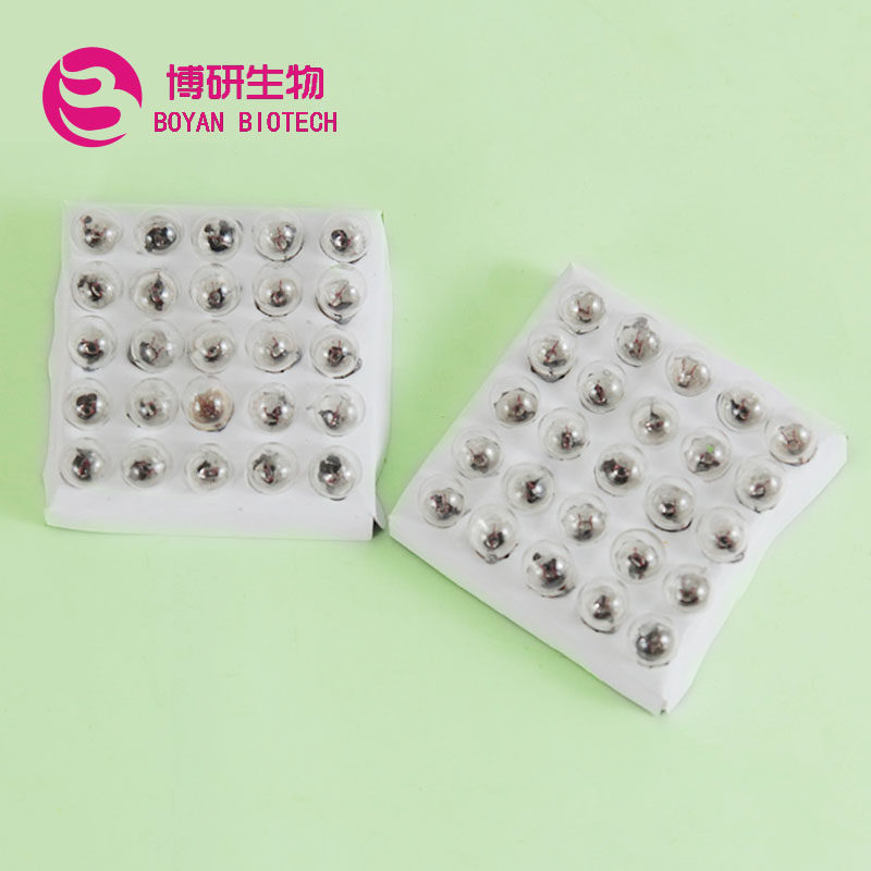 Laboratory Light Bulb Small Electric Bulb 3 8V Small Light Bulb Physics Experimental Accessories DIY Model Making Lamp Beads