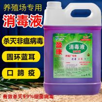 Special deodorant for disinfectant farms veterinary chickens ducks cattle and sheep pigsty disinfection and sterilization of potassium permanganate disinfectant