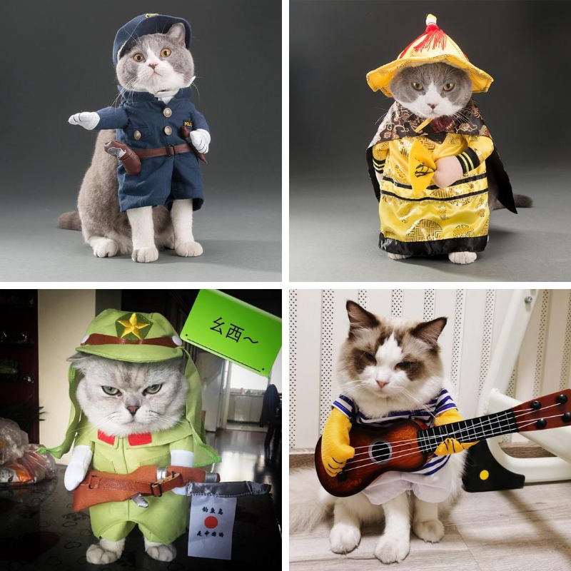 Pet Cats and Dogs Internet Celebrity Funny Clothes Prank Kitten Tiktok Spring and Summer Cute Teddy Corgi Shiba Inu