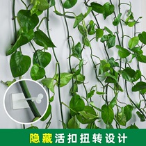 Vine green plant indoor nail-Free Wall self-adhesive winding buckle Green rose Wall no trace card does not hurt Wall holder climbing