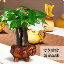 Fa fortune tree potted indoor living room desktop green plant small bonsai big rich tree saplings to attract wealth tree formaldehyde plants