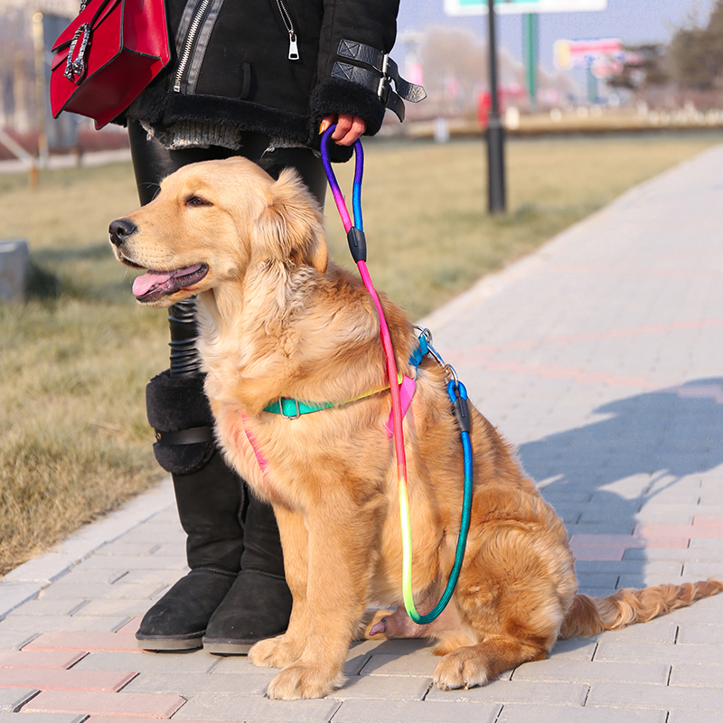 Pet Supplies Dog Leash Chain Colorful Round Rope Chest Back Pet Leash Cat Leash