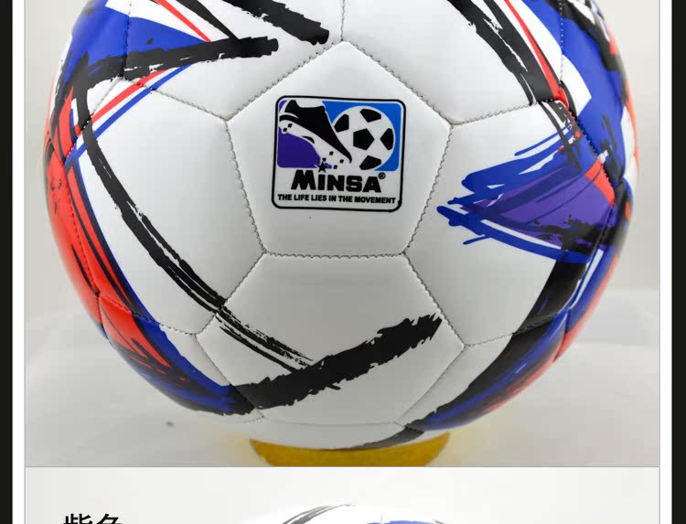 Ballon de foot - Ref 5096 Image 14