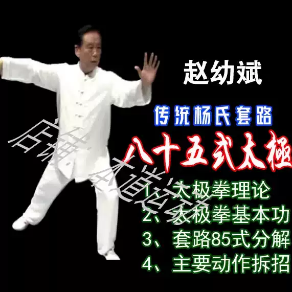 武當太極拳十三式教學三豐太極動作分解陳師行道長教學DVD-Taobao-Tmall
