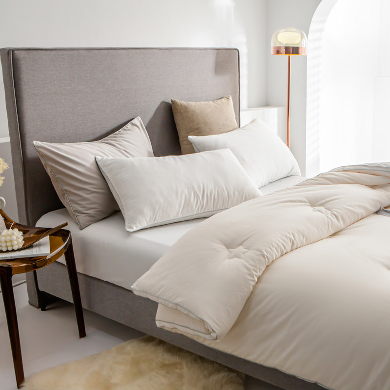 A class of all-cotton soy fiber is thickened by double, warm autumn and winter by antibacterial anti-tattoo core general-purpose quilt in four seasons