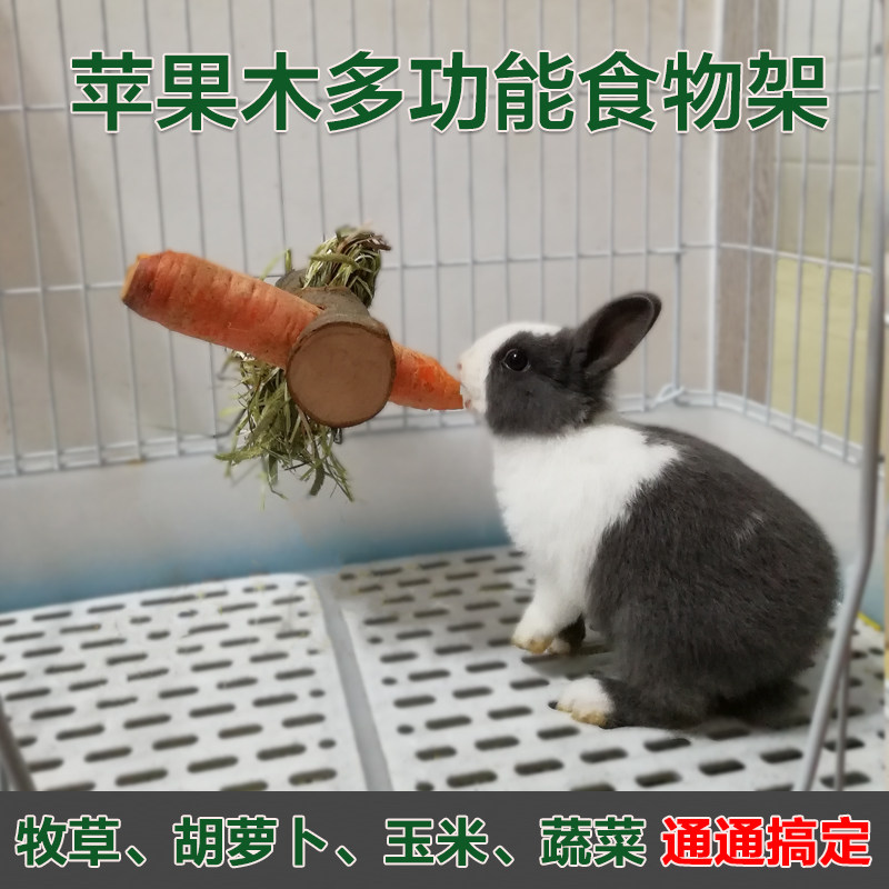 Apple Wood Food Shelf Rabbit Dragon Cat Grass Rack Guinea Pig Dutch Pig Multifunction Grindroa Snack Bar Snacks Pet Toy