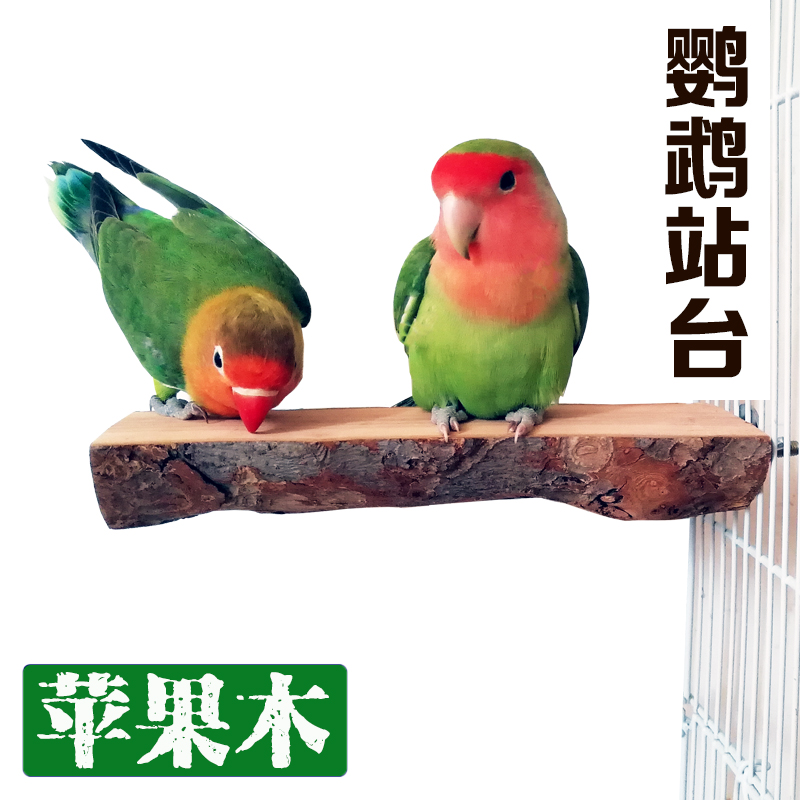 Parrot Station Parrot Station Wooden Parrot Toys Parrot Drying Apple Wood and Bird Supplies