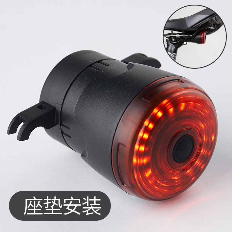 (Intelligent induction brake USB charging) cushion