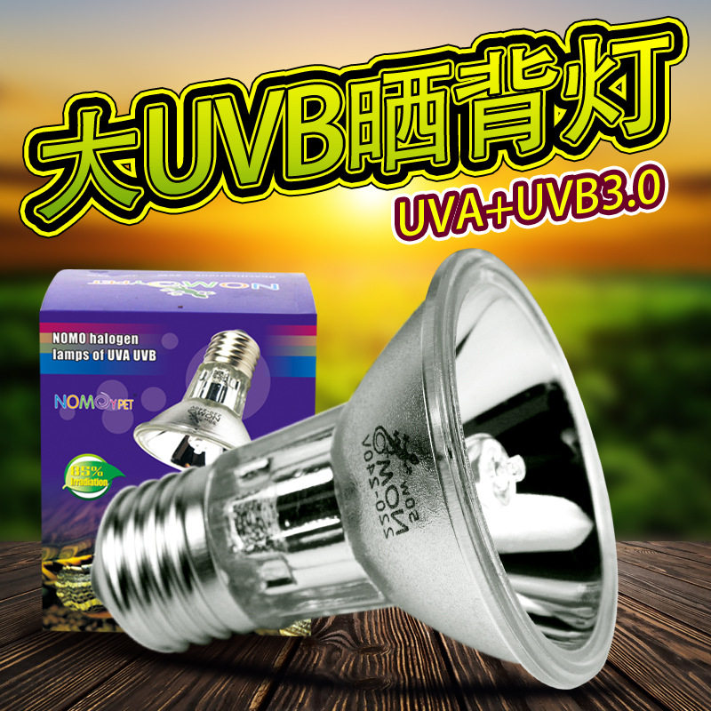 Turtle Tortoise Tortoise sun back light bulb climbing pet reptile heating light uva uvb3 0 sun back light Solar light