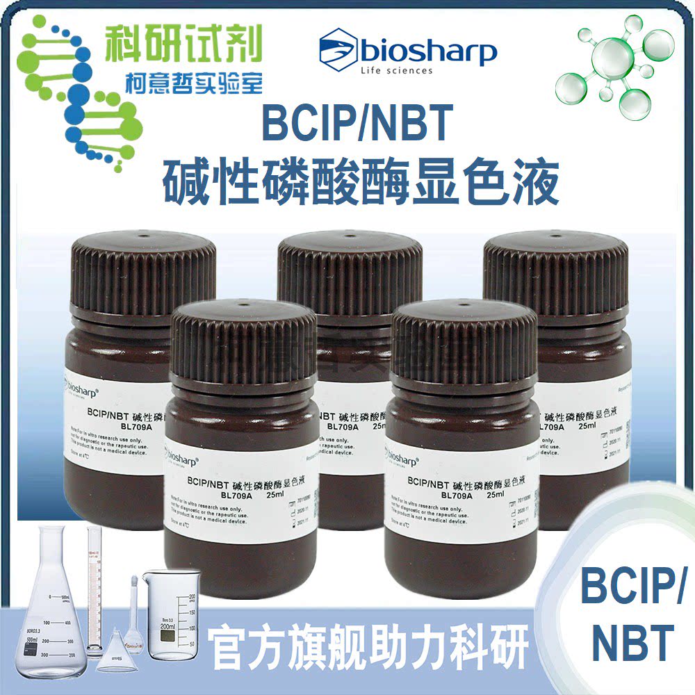 BCIP/NBT底物显色液 BCIP/NBT碱性磷酸酶显色液(预混型) biosharp