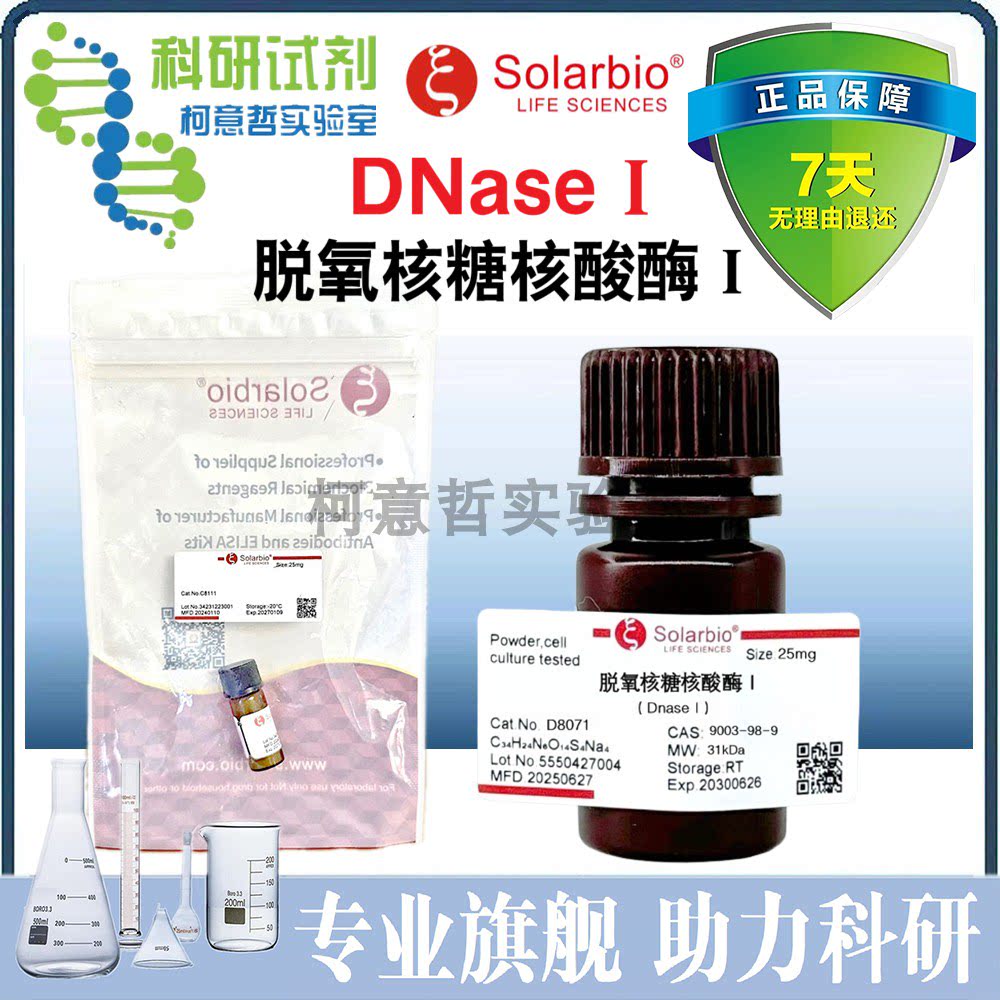 脱氧核糖核酸酶Ⅰ DNaseⅠ DNase I 5&prime;-寡核苷酸-水解酶[索莱宝]