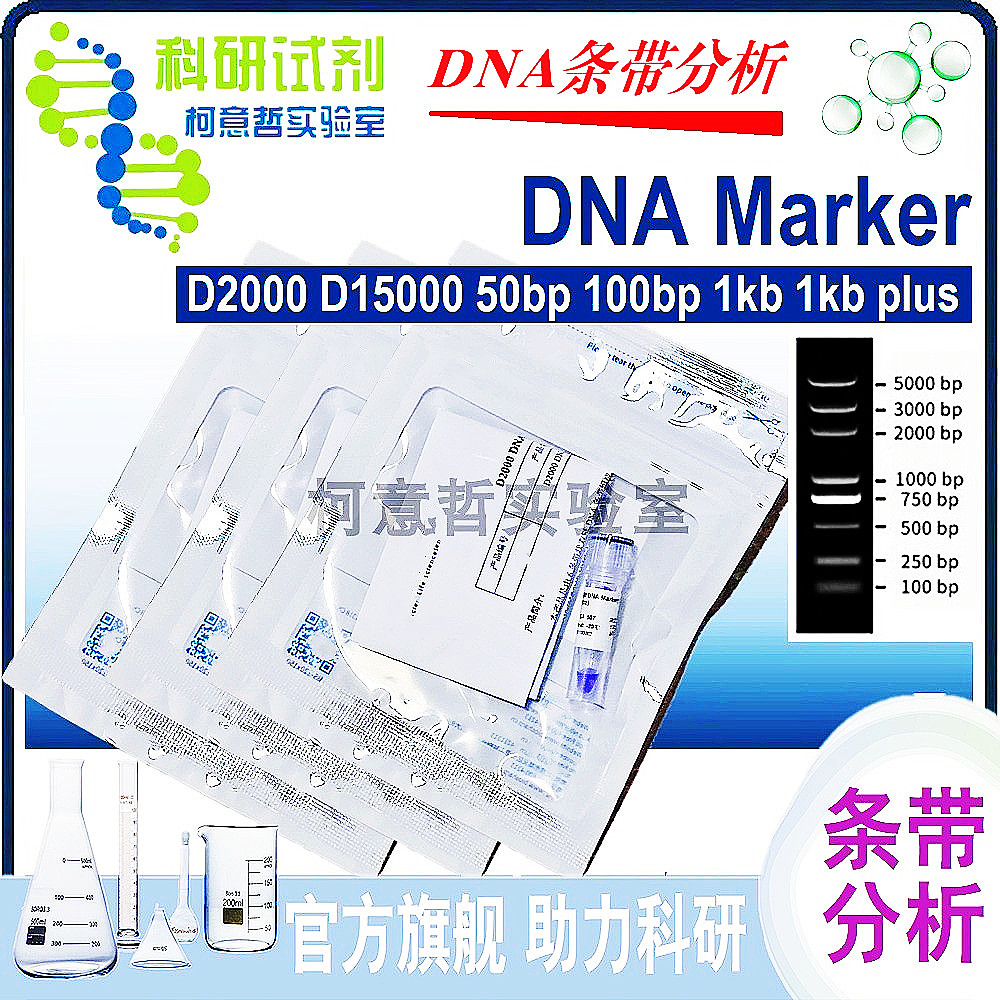 DNA Marker D2000 D15000 D8000 50bp 100bp 1kb 1kb/DNA条带分析