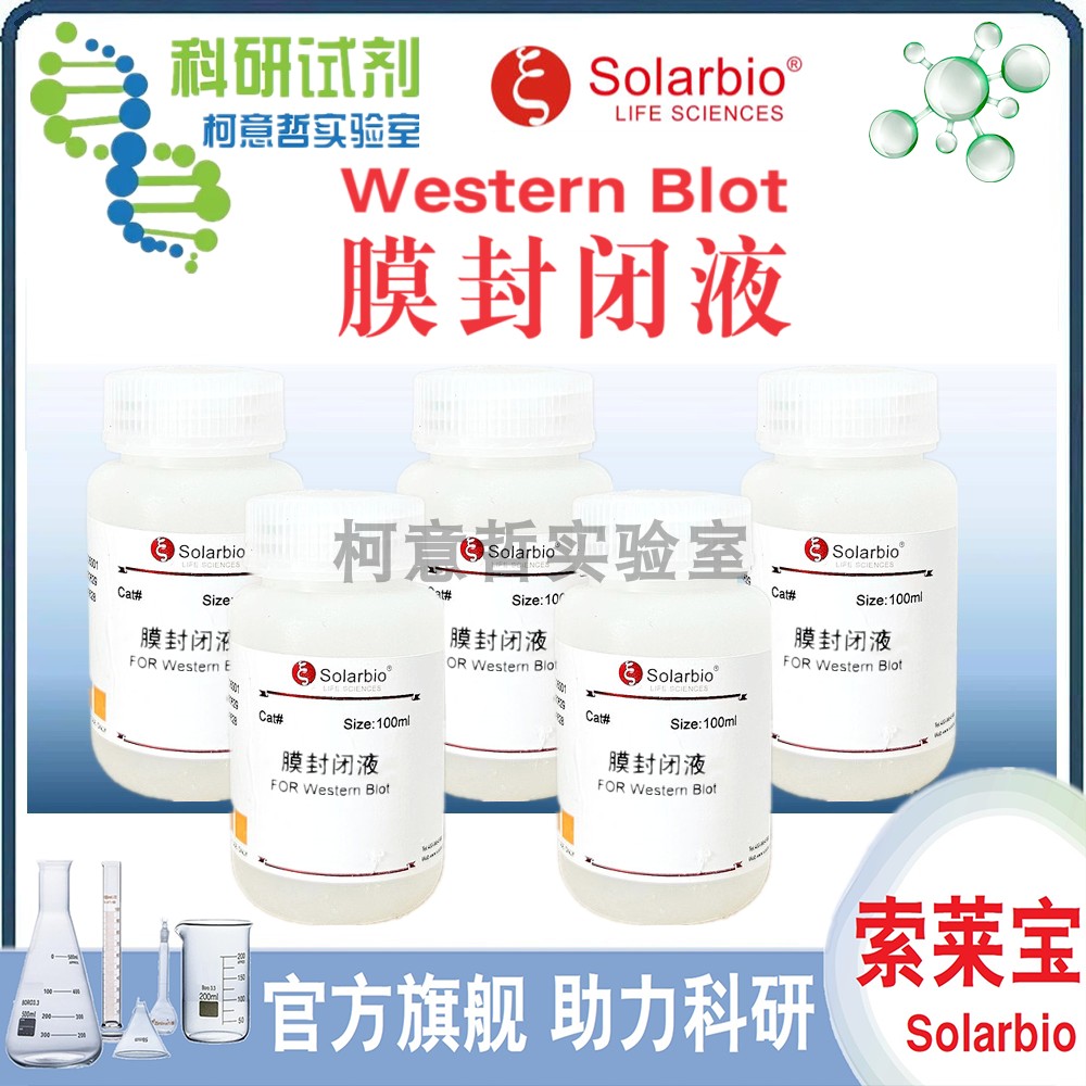 Western Blot 膜封闭液 (Blocking Buffer) 转印膜封闭液[索莱宝]