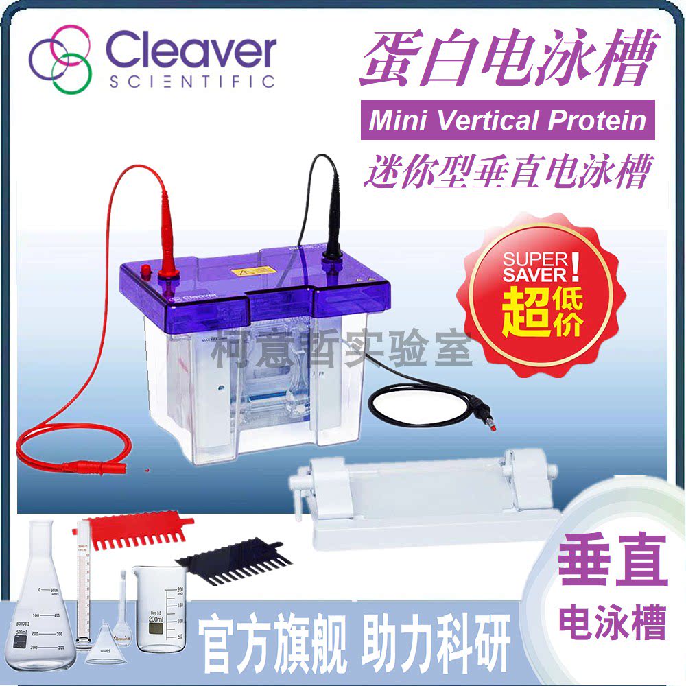 垂直电泳槽  [英国Cleaver原装]进口电泳仪 蛋白电泳槽 CVS10DSYS