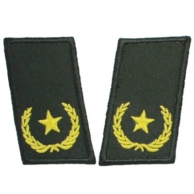 Game CS WG CQB wheat ears One star level to lead the movie Cartoon Serial Number Name No.