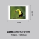 6 -INCH LOMO содержит пластик