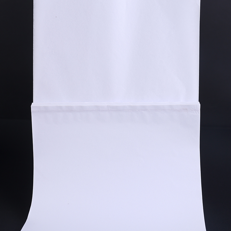 Primary and middle school students hard pen block letters self-adhesive copy paper copy paper transparent paper sketching common Chinese characters Handwriting Post A4