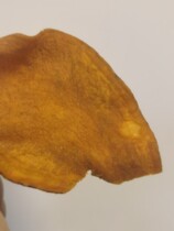 Big Eyed Paparazzi Fries 25 Ground Melon Slices Only Tobacco Fries And Soybean Oil Buy Three Delivery One