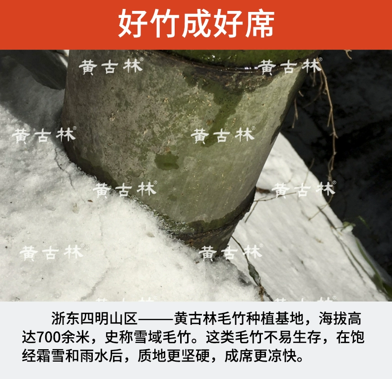 Thảm trải sàn Huang Gulin 1,8m giường bằng tre có ga, gấp 1,5, 1,35 / 1,2 thảm ký túc xá đơn - Thảm mùa hè